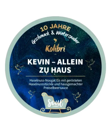 Kevin – Allein zu Hause